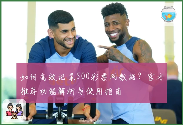 如何高效记录500彩票网数据?官方推荐功能解析与使用指南