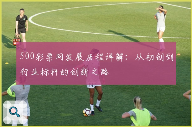 500彩票网发展历程详解：从初创到行业标杆的创新之路