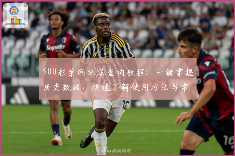 500彩票网记录查询教程：一键掌握历史数据，快速了解使用方法与常见问题解答