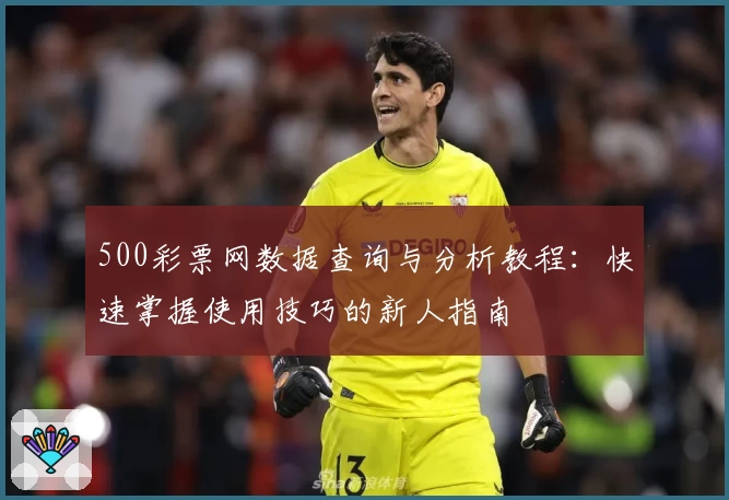 500彩票网数据查询与分析教程：快速掌握使用技巧的新人指南