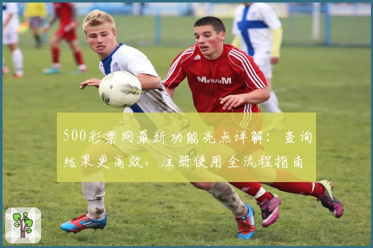 500彩票网最新功能亮点详解：查询结果更高效，注册使用全流程指南